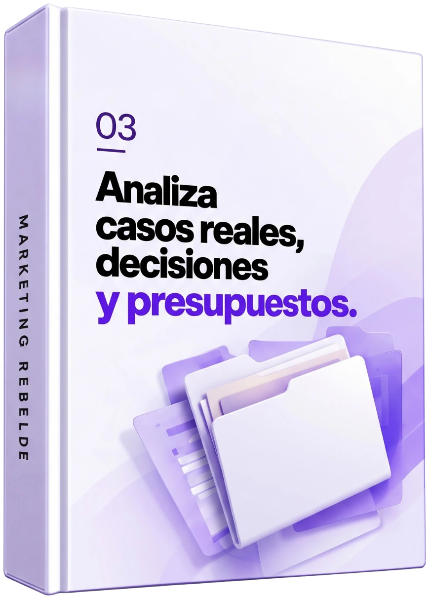 03 — Analiza casos reales, decisiones y presupuestos